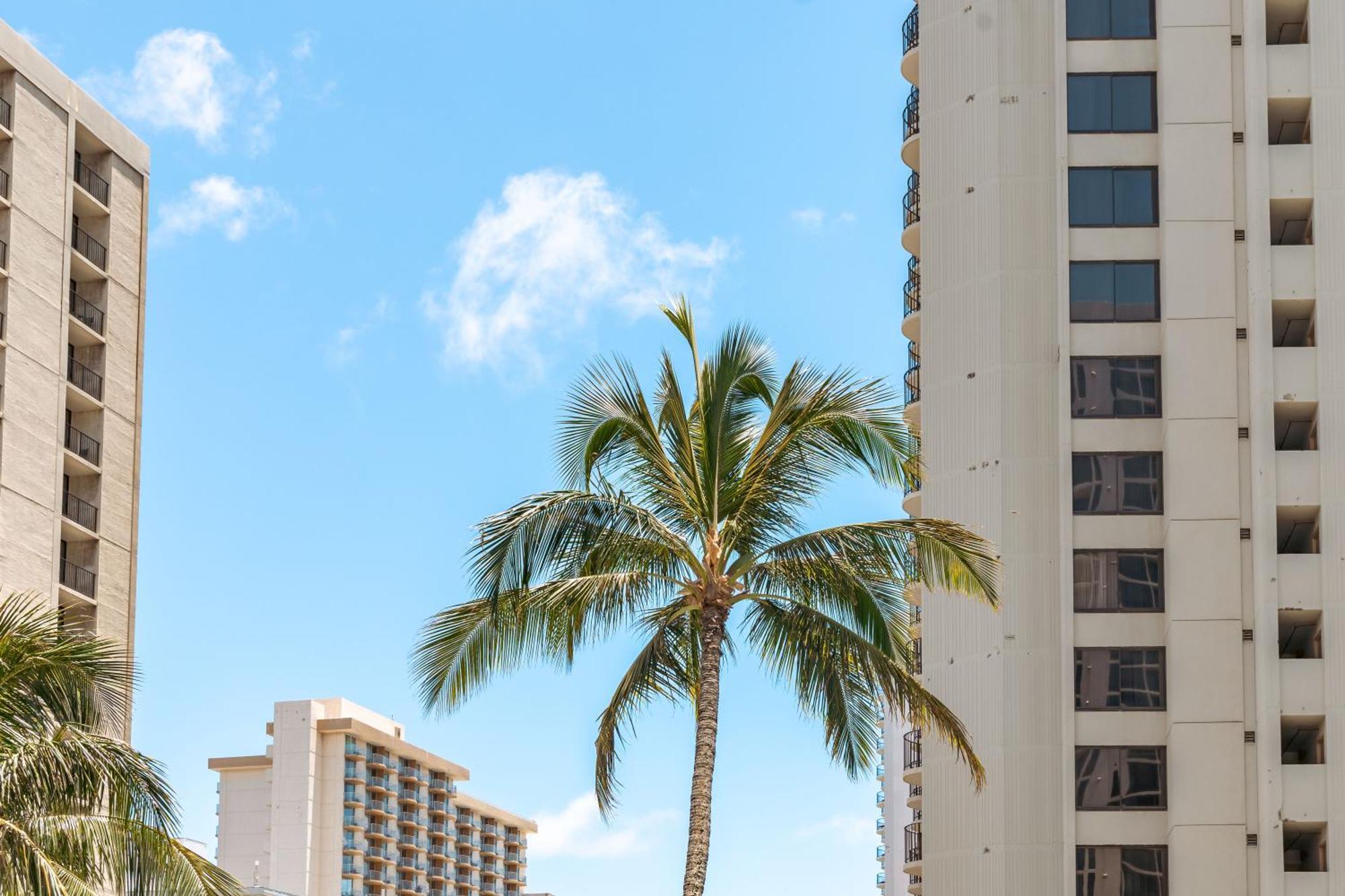 Aloha Vibes With Ocean Views, Near Beach & Parking! Honolulu Exterior foto