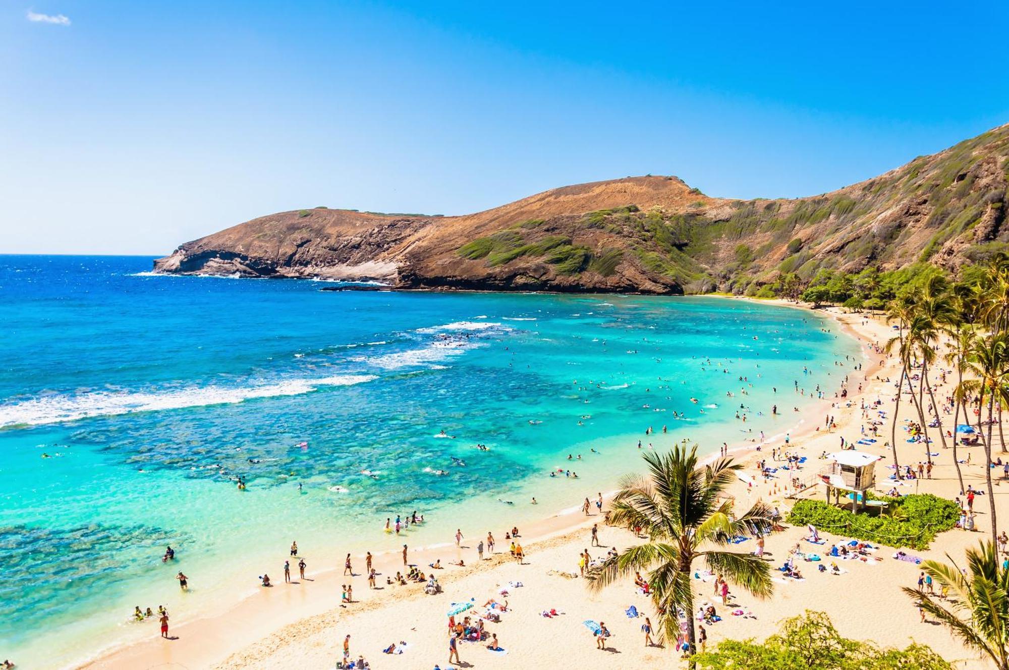 Aloha Vibes With Ocean Views, Near Beach & Parking! Honolulu Exterior foto